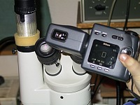 with a binocular microscope