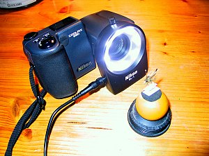 with Nikon Coollight